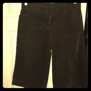 Chocolate Corduroy Dress Shorts by Express Design